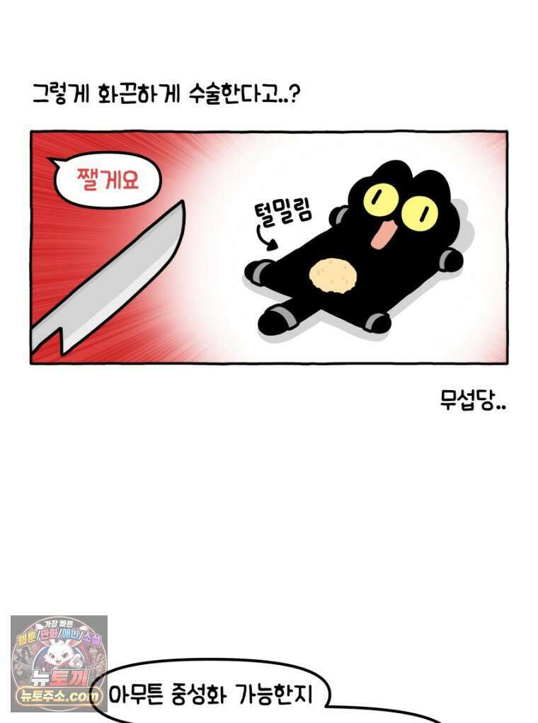 먼지 덩어리 짱덕 18． 중성화 수술 1 10