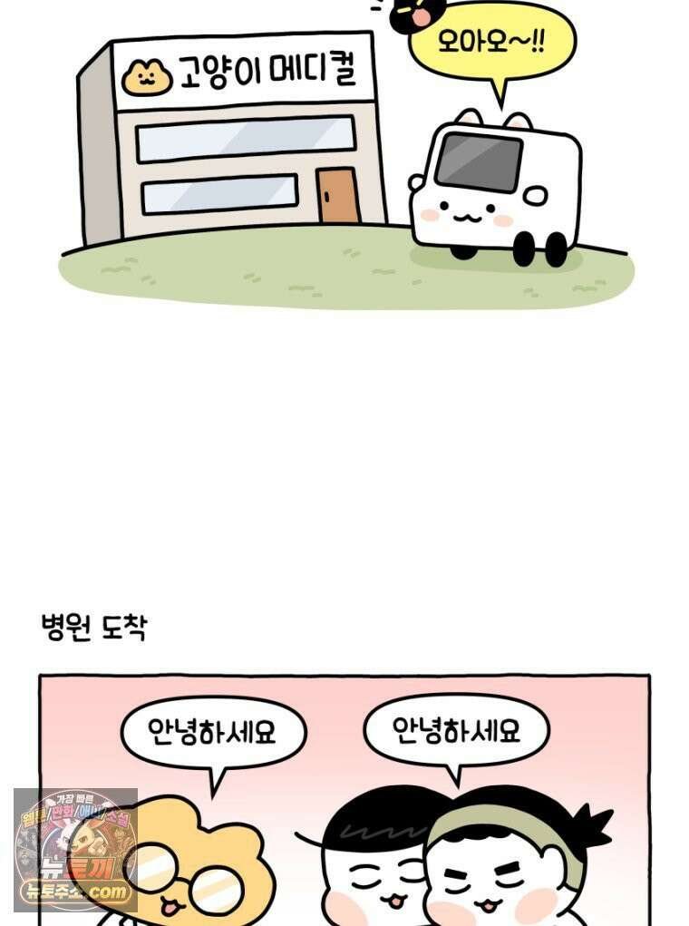 먼지 덩어리 짱덕 18． 중성화 수술 1 13