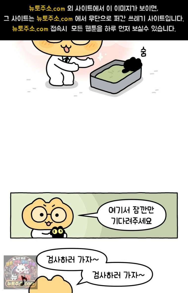 먼지 덩어리 짱덕 18． 중성화 수술 1 16
