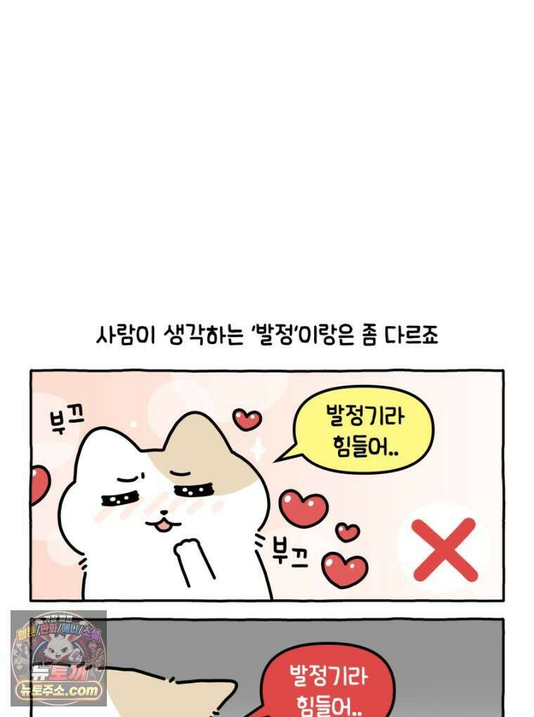 먼지 덩어리 짱덕 18． 중성화 수술 1 22