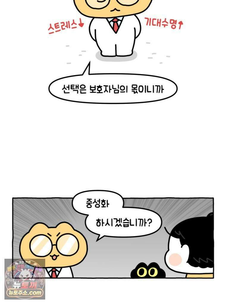 먼지 덩어리 짱덕 18． 중성화 수술 1 25