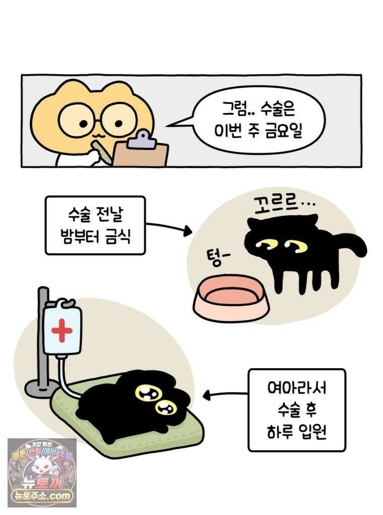 먼지 덩어리 짱덕 18． 중성화 수술 1 27