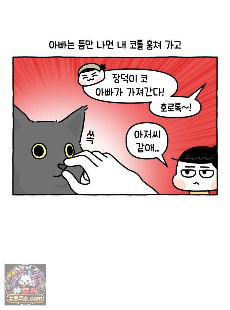 먼지 덩어리 짱덕 25． 삐순이 고양이 2