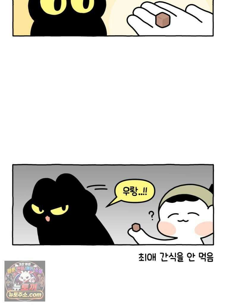 먼지 덩어리 짱덕 25． 삐순이 고양이 7