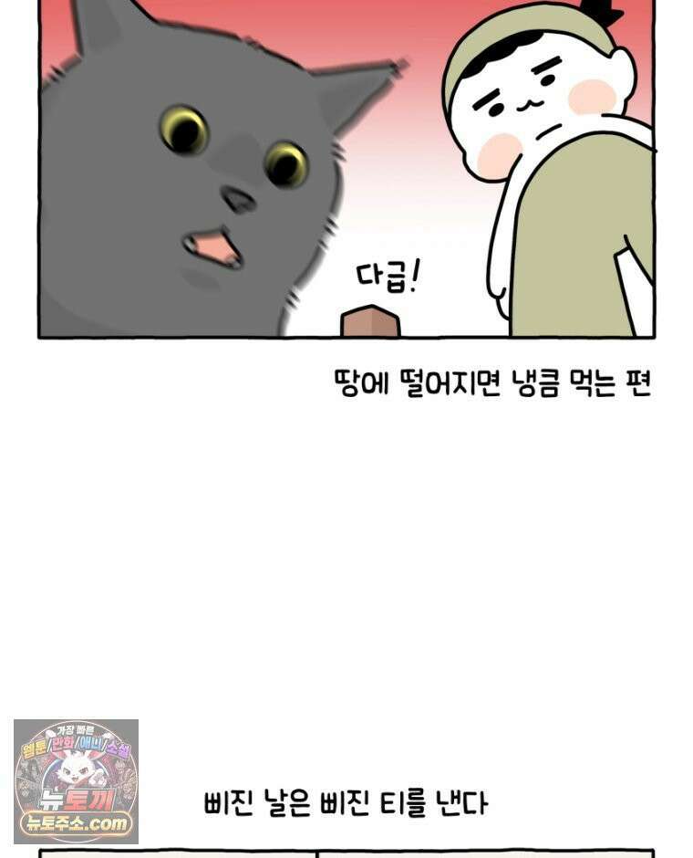 먼지 덩어리 짱덕 25． 삐순이 고양이 12