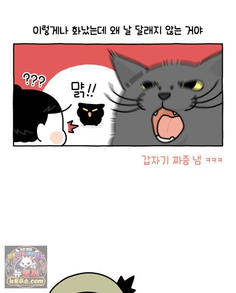 먼지 덩어리 짱덕 25． 삐순이 고양이 19