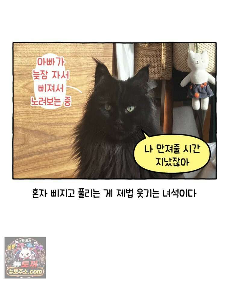 먼지 덩어리 짱덕 25． 삐순이 고양이 31