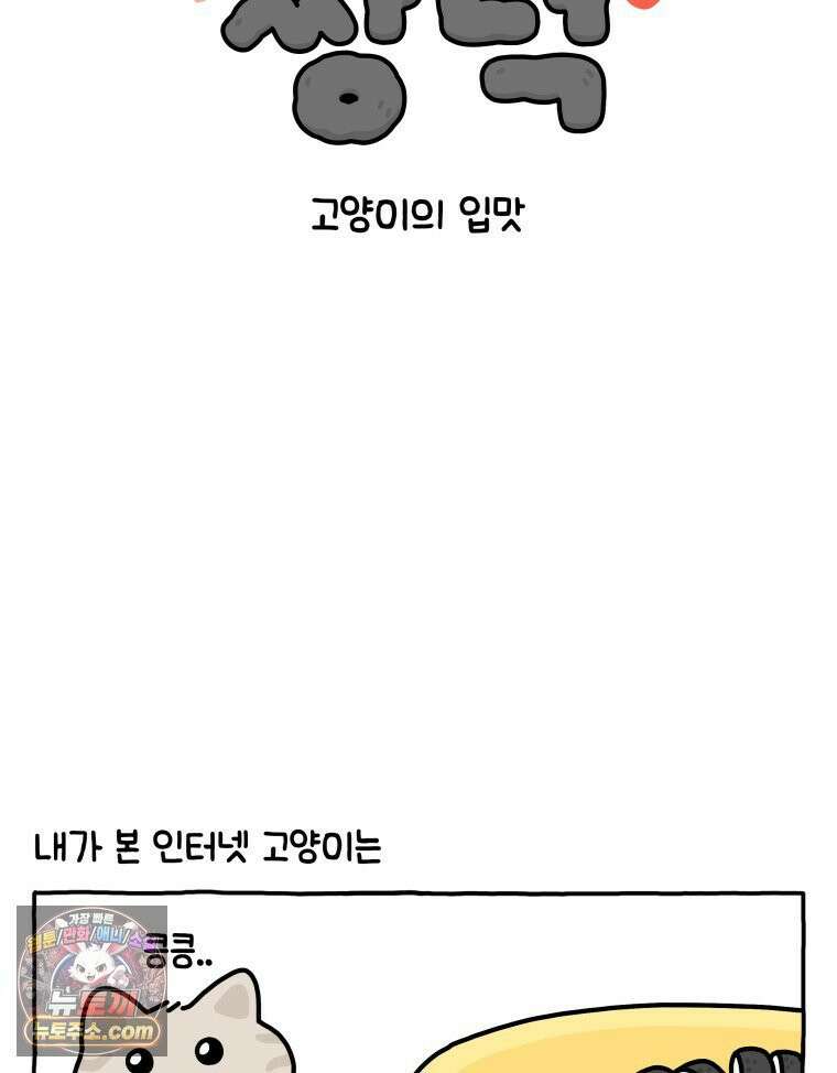 먼지 덩어리 짱덕 40． 고양이의 입맛 2