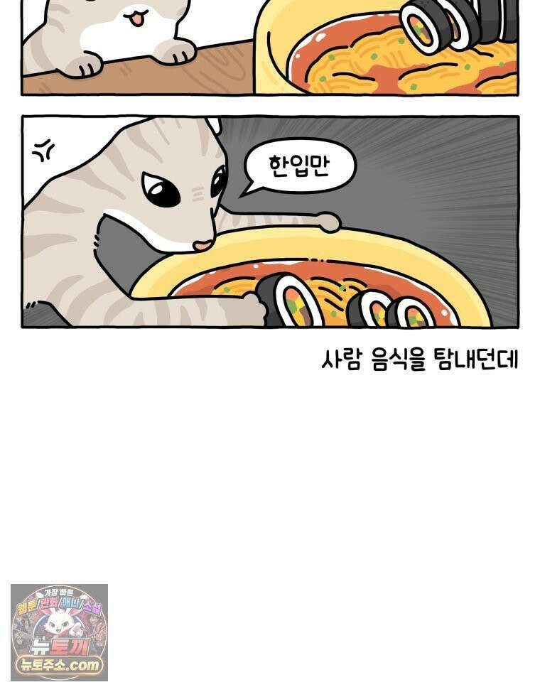 먼지 덩어리 짱덕 40． 고양이의 입맛 3
