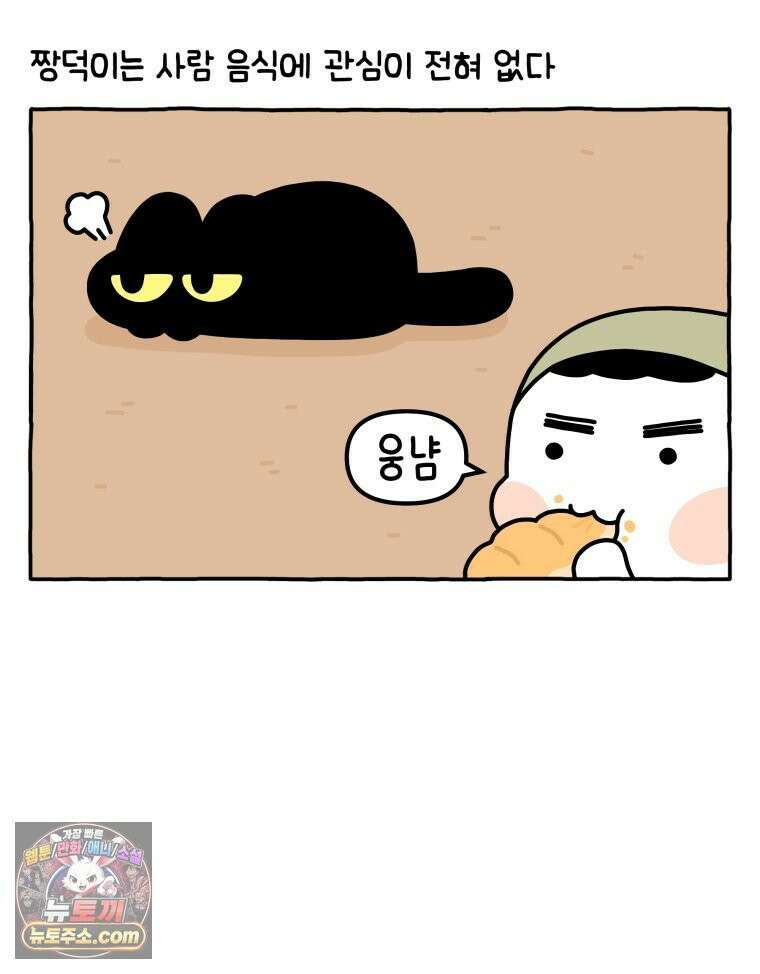먼지 덩어리 짱덕 40． 고양이의 입맛 4