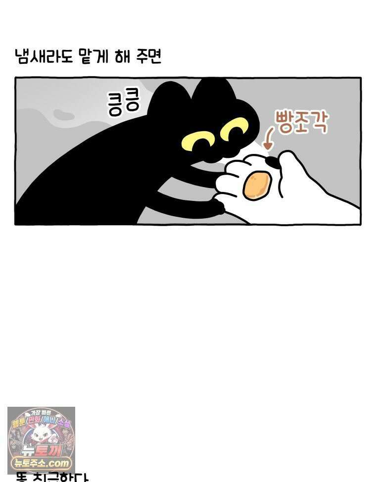 먼지 덩어리 짱덕 40． 고양이의 입맛 5