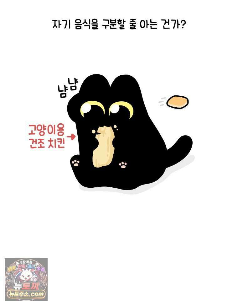 먼지 덩어리 짱덕 40． 고양이의 입맛 7