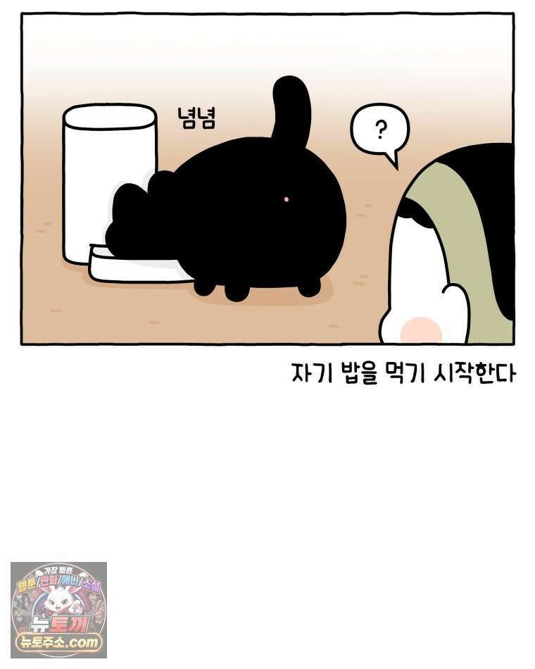 먼지 덩어리 짱덕 40． 고양이의 입맛 11