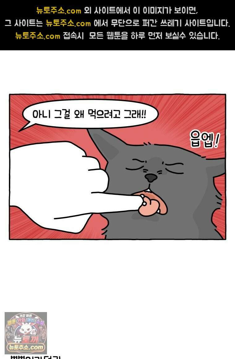 먼지 덩어리 짱덕 40． 고양이의 입맛 16