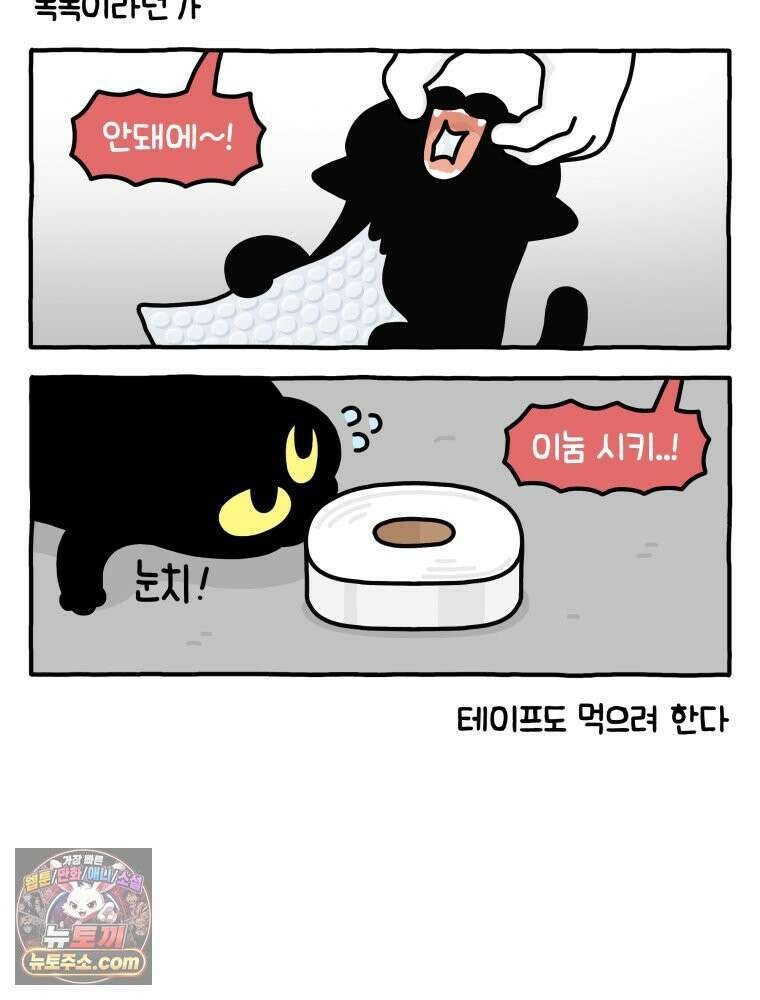 먼지 덩어리 짱덕 40． 고양이의 입맛 17