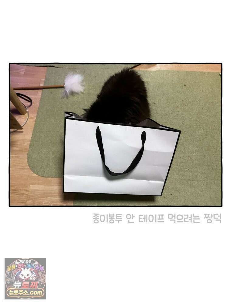 먼지 덩어리 짱덕 40． 고양이의 입맛 20