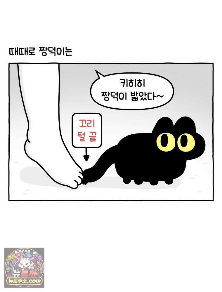먼지 덩어리 짱덕 40． 고양이의 입맛 21
