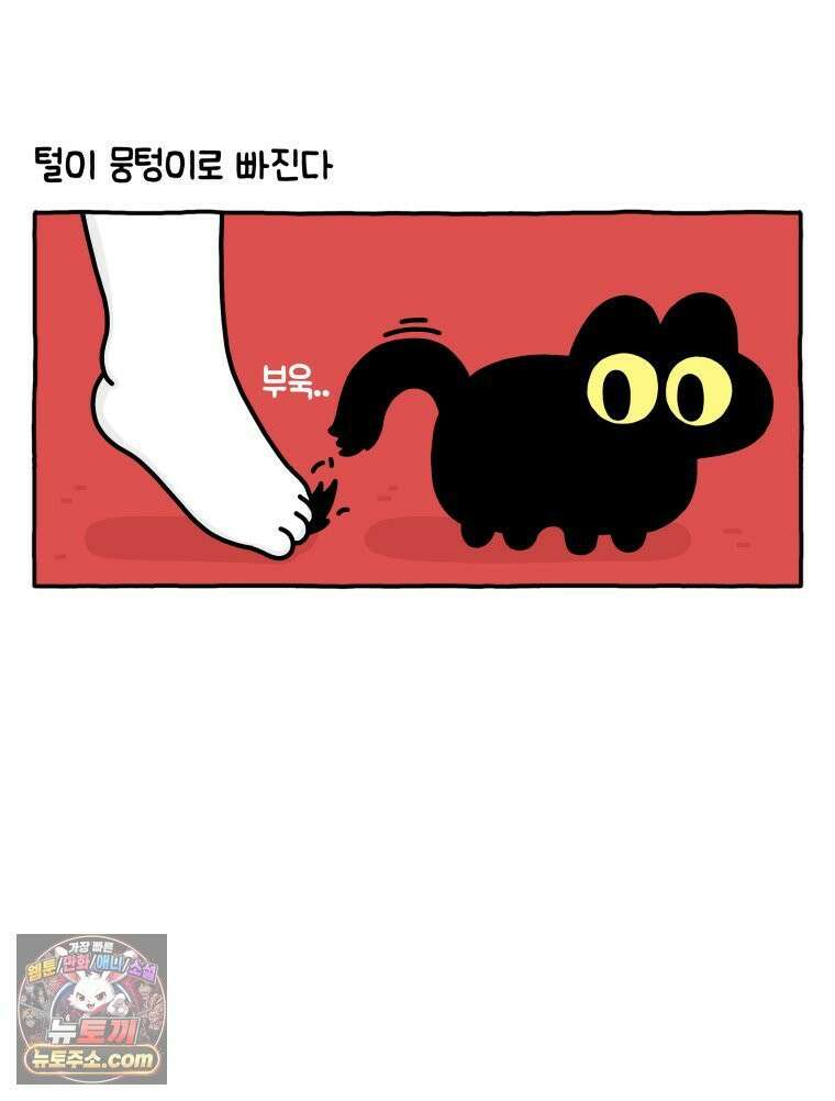먼지 덩어리 짱덕 40． 고양이의 입맛 22
