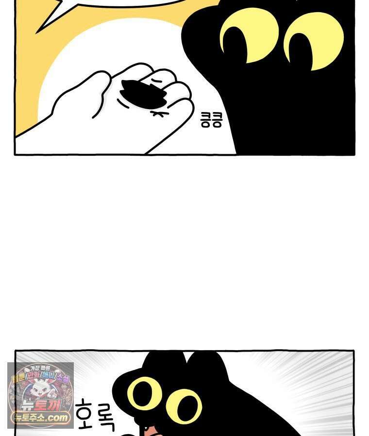먼지 덩어리 짱덕 40． 고양이의 입맛 24