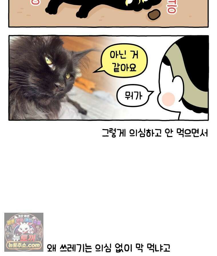 먼지 덩어리 짱덕 40． 고양이의 입맛 28