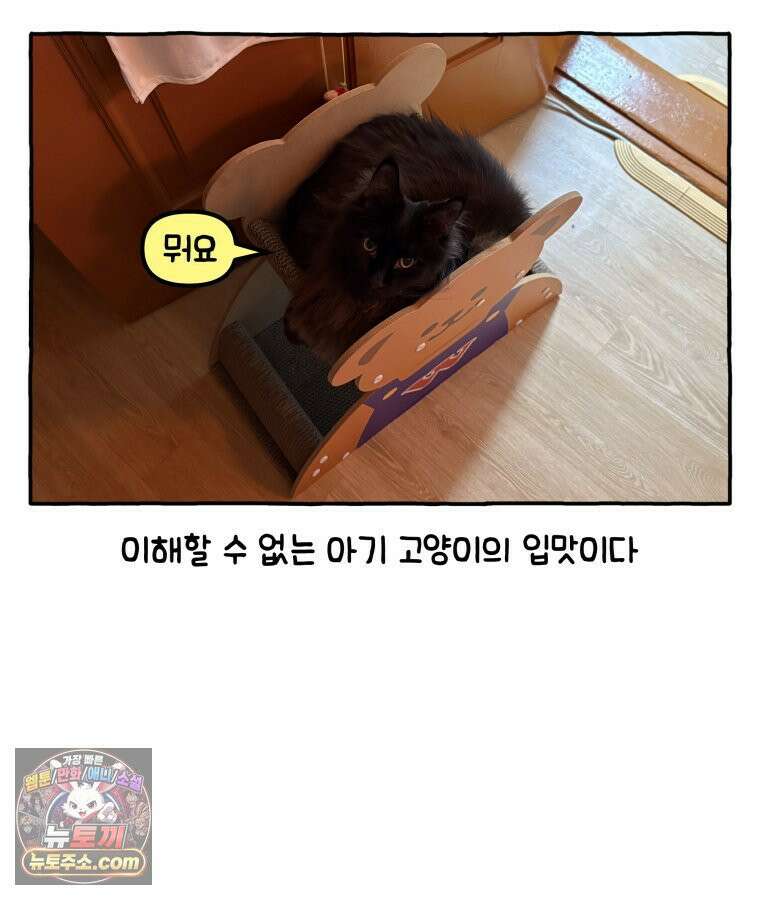 먼지 덩어리 짱덕 40． 고양이의 입맛 30