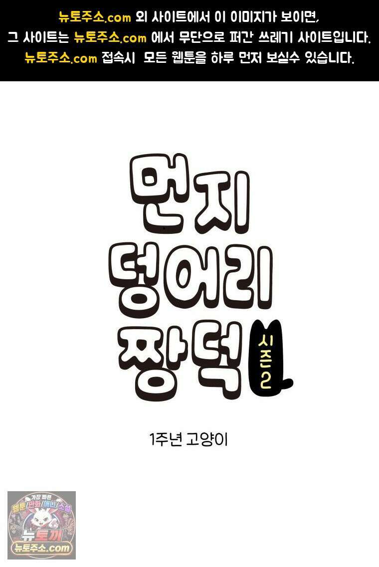 먼지 덩어리 짱덕 46． 1주년 고양이 1