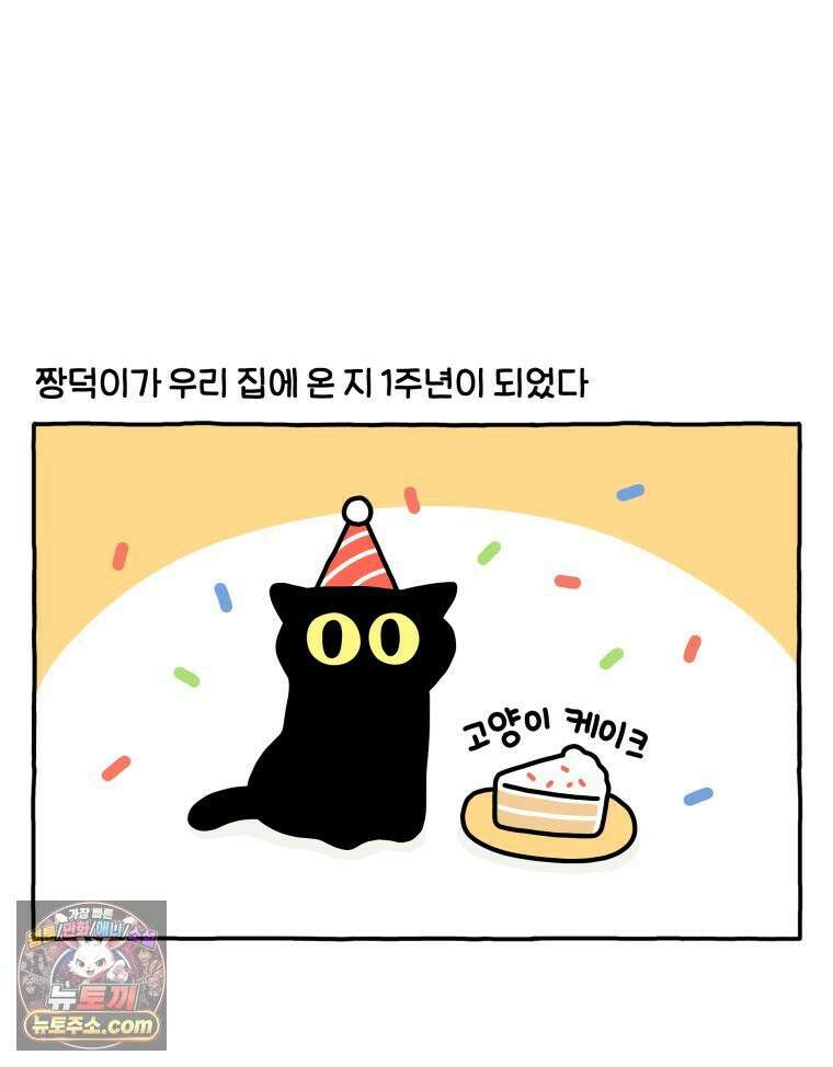 먼지 덩어리 짱덕 46． 1주년 고양이 2