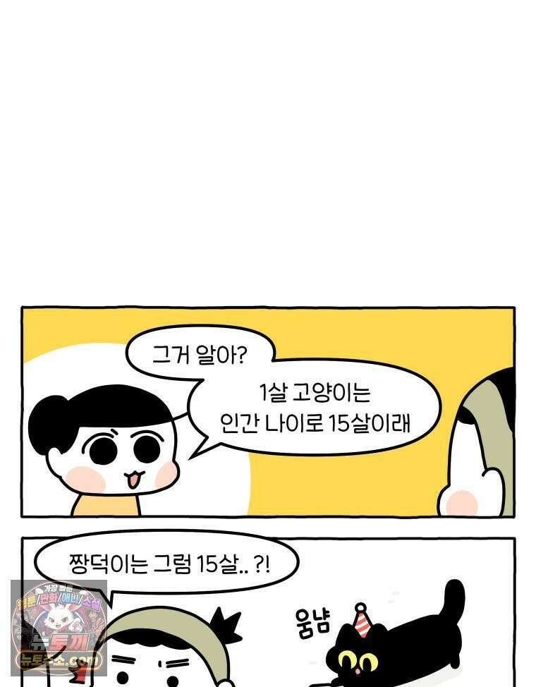 먼지 덩어리 짱덕 46． 1주년 고양이 3