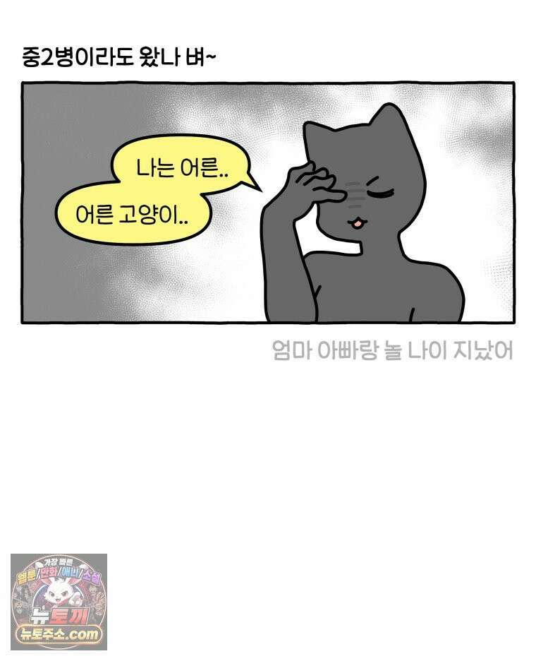 먼지 덩어리 짱덕 46． 1주년 고양이 9