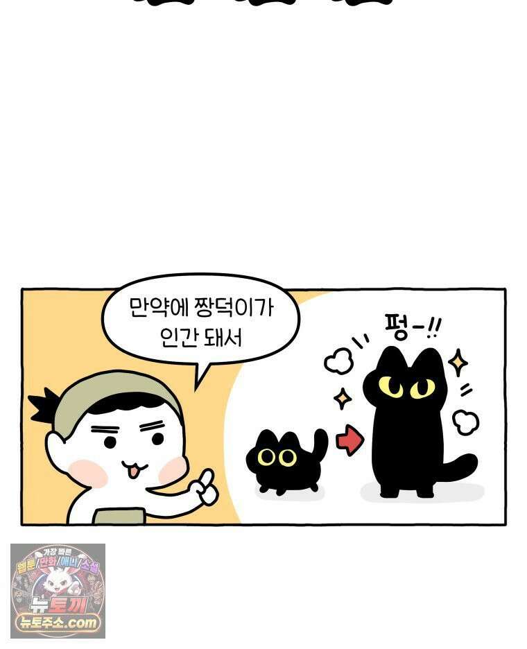 먼지 덩어리 짱덕 46． 1주년 고양이 11