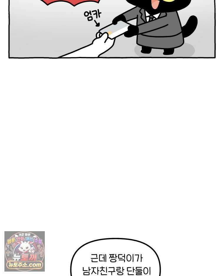 먼지 덩어리 짱덕 46． 1주년 고양이 14