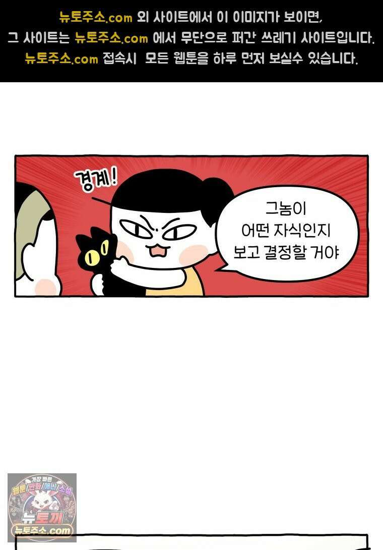 먼지 덩어리 짱덕 46． 1주년 고양이 17