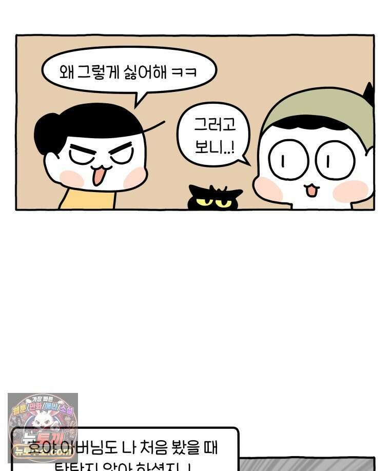 먼지 덩어리 짱덕 46． 1주년 고양이 23