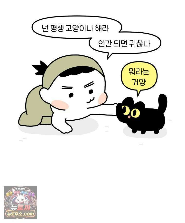 먼지 덩어리 짱덕 46． 1주년 고양이 28
