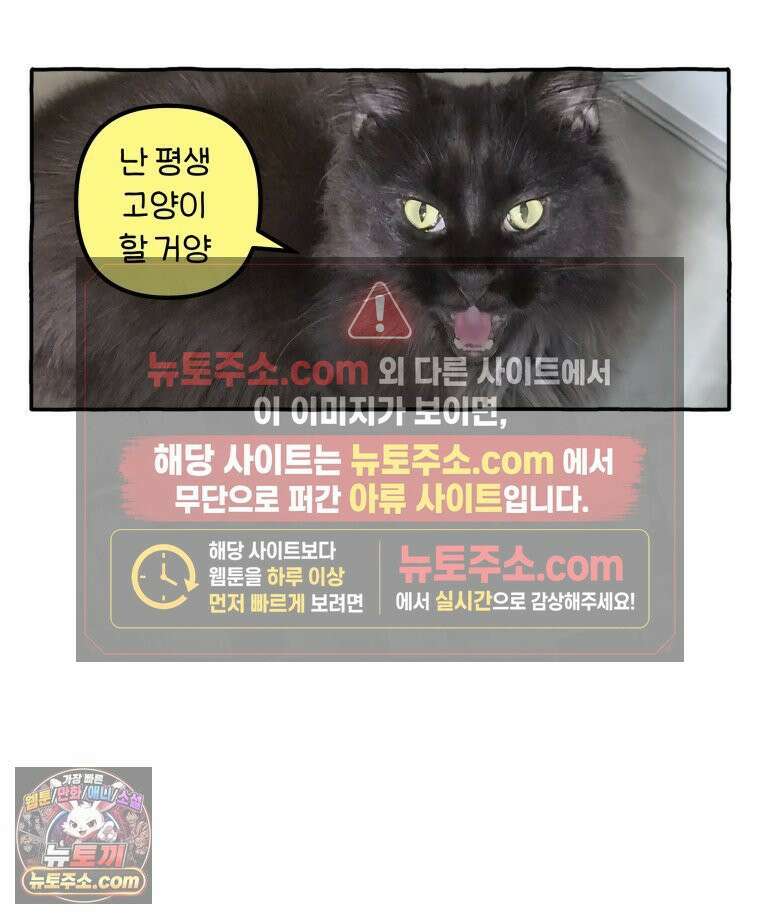 먼지 덩어리 짱덕 46． 1주년 고양이 29