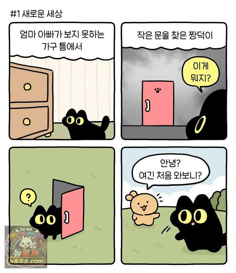먼지 덩어리 짱덕 46． 1주년 고양이 30