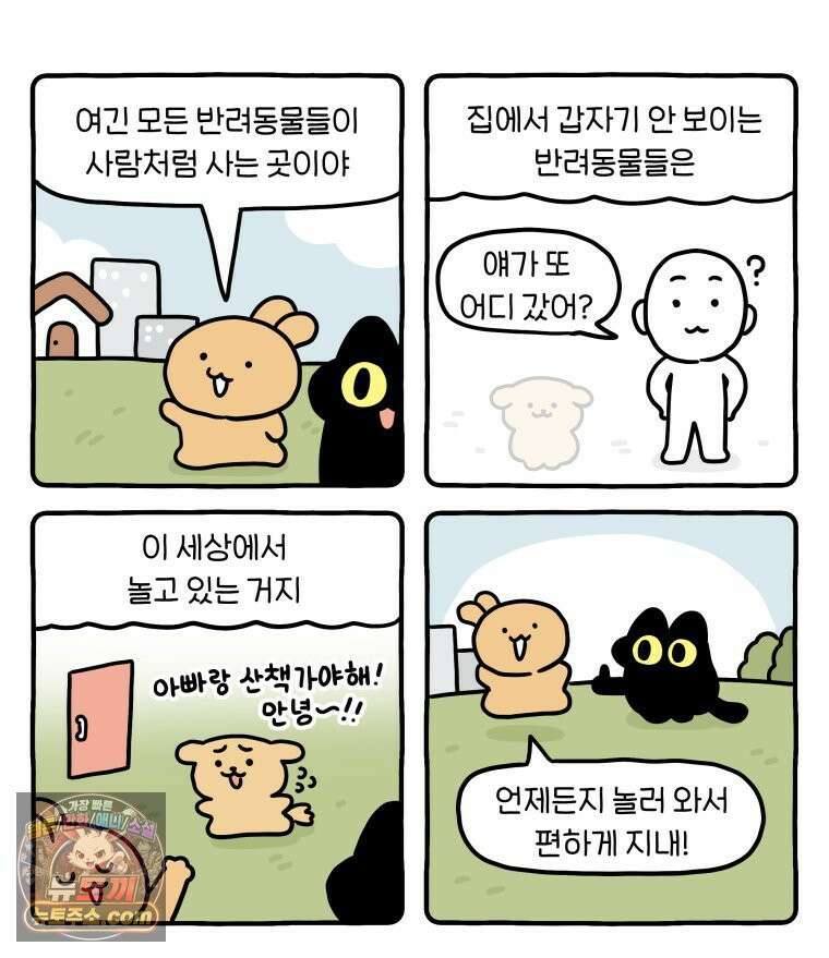 먼지 덩어리 짱덕 46． 1주년 고양이 31