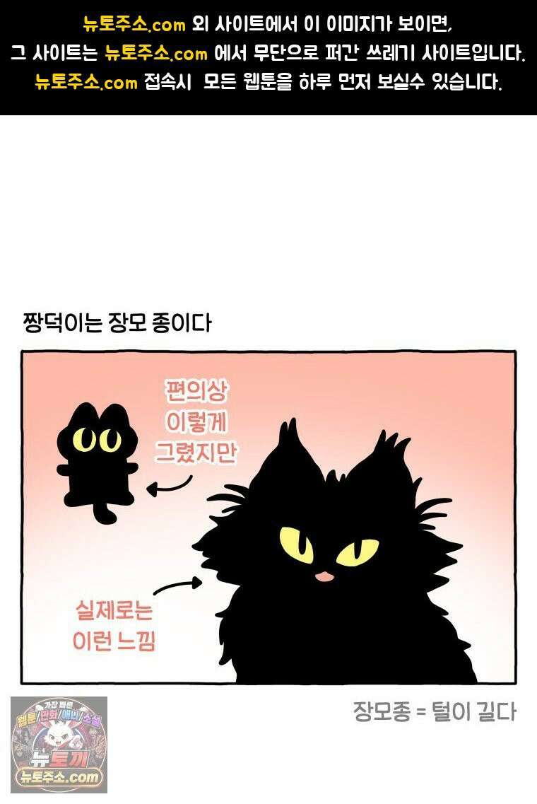 먼지 덩어리 짱덕 51． 장모종 고양이 1