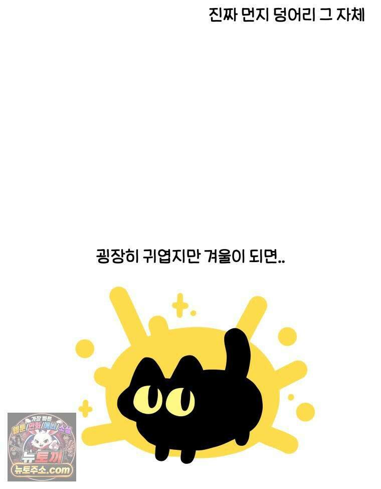 먼지 덩어리 짱덕 51． 장모종 고양이 4