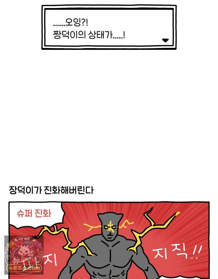 먼지 덩어리 짱덕 51． 장모종 고양이 5