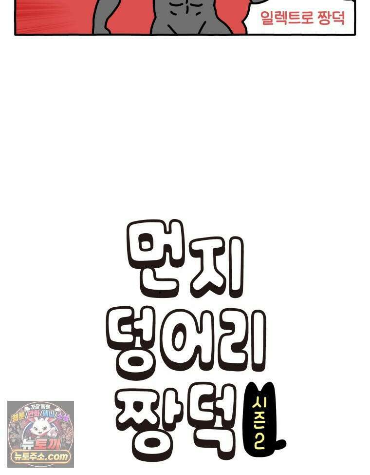먼지 덩어리 짱덕 51． 장모종 고양이 6