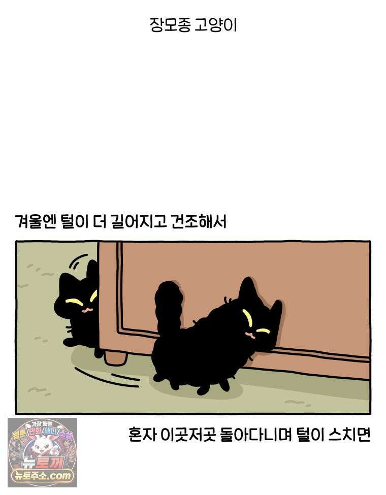 먼지 덩어리 짱덕 51． 장모종 고양이 7