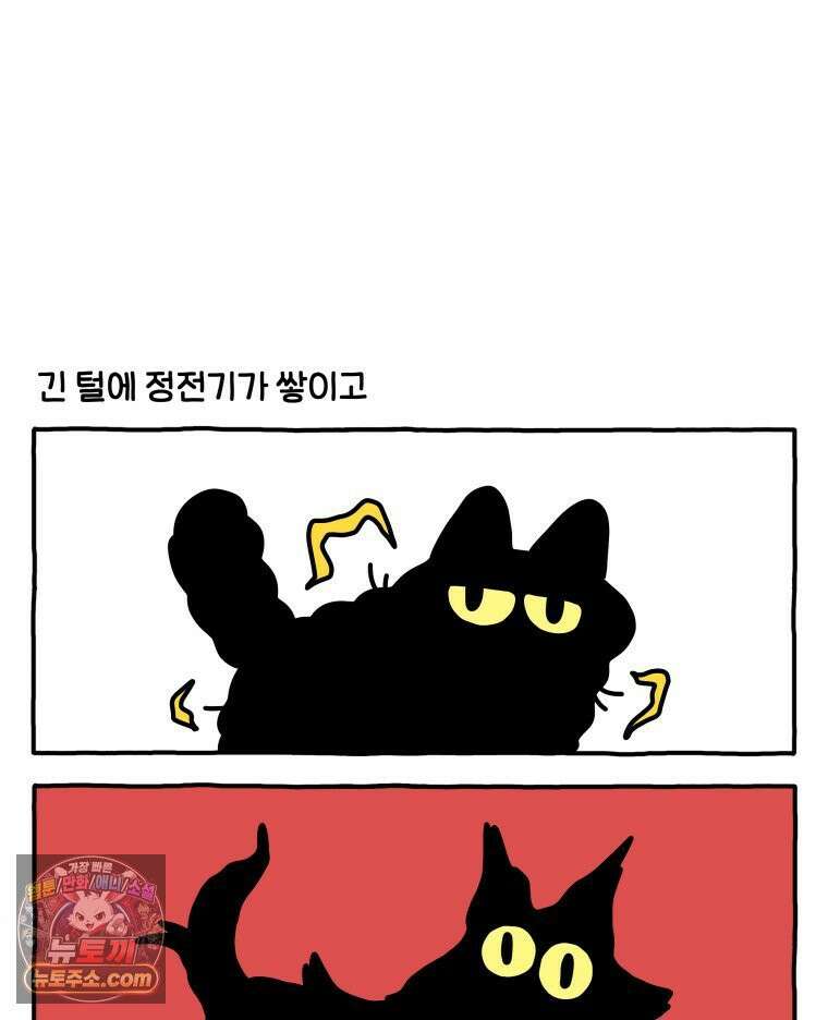 먼지 덩어리 짱덕 51． 장모종 고양이 8