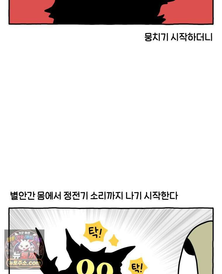 먼지 덩어리 짱덕 51． 장모종 고양이 9