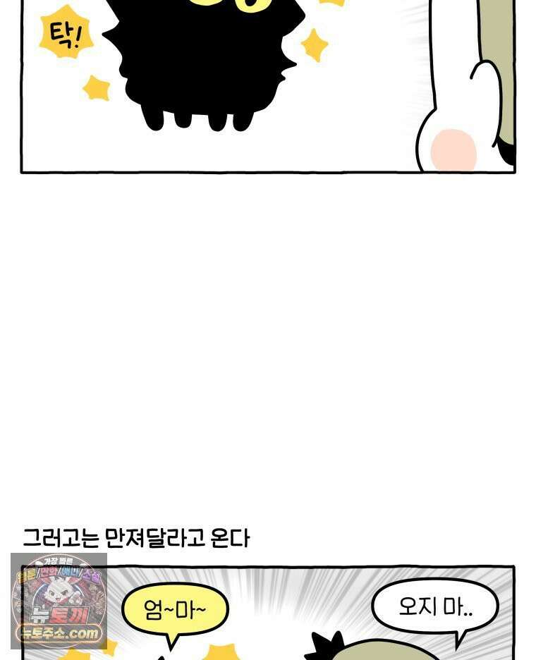 먼지 덩어리 짱덕 51． 장모종 고양이 10