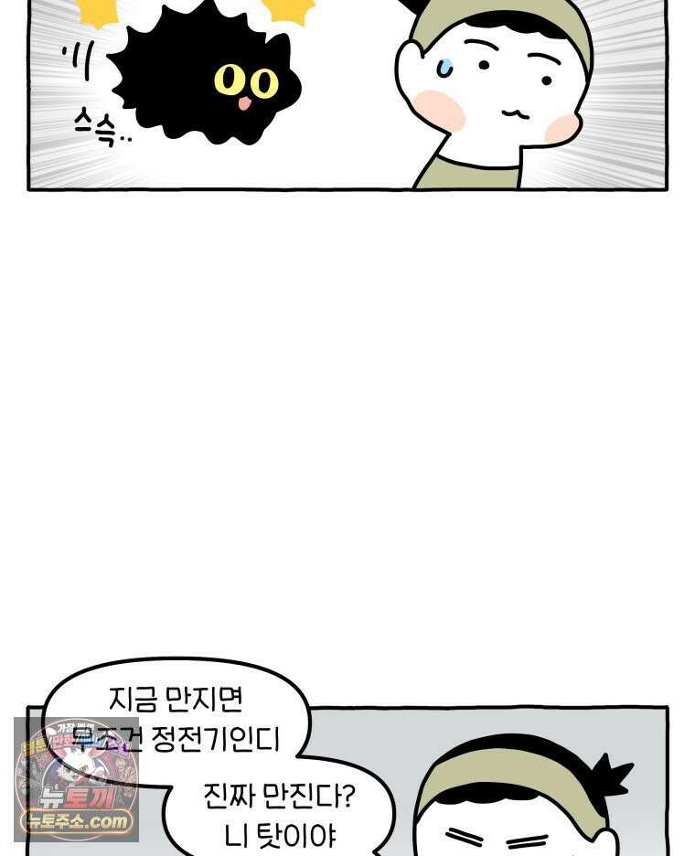 먼지 덩어리 짱덕 51． 장모종 고양이 11