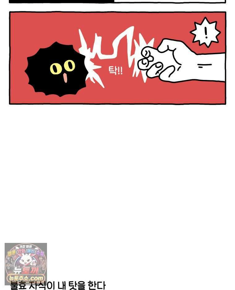 먼지 덩어리 짱덕 51． 장모종 고양이 13