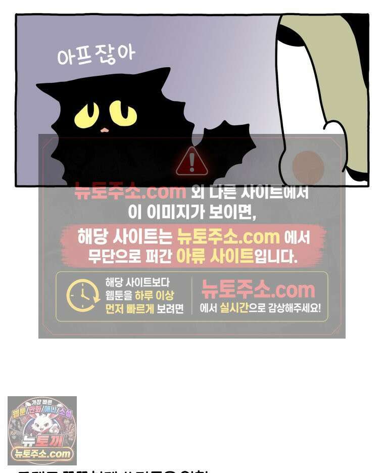 먼지 덩어리 짱덕 51． 장모종 고양이 14