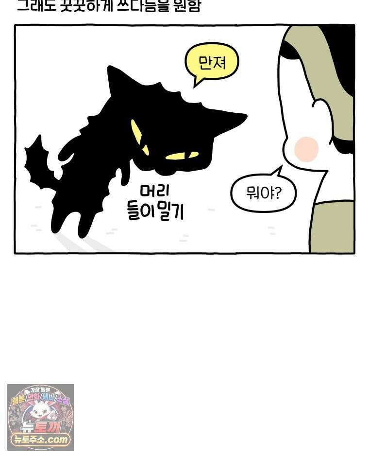 먼지 덩어리 짱덕 51． 장모종 고양이 15