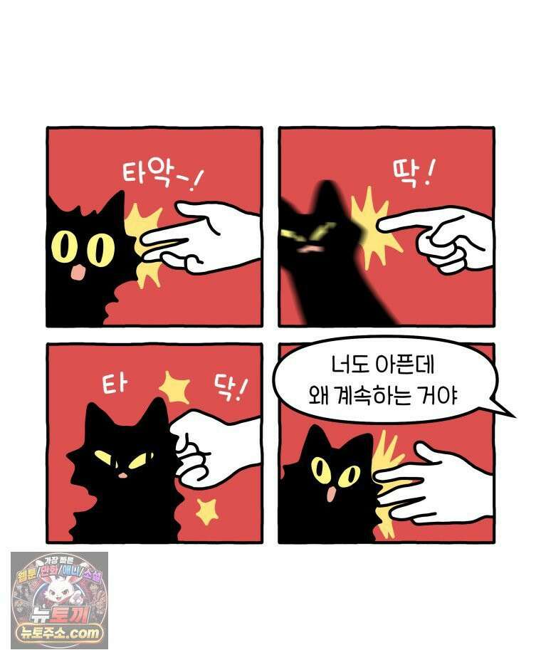 먼지 덩어리 짱덕 51． 장모종 고양이 16